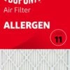 11.5x21x1 (Actual Size) DuPont™ Allergen Air Filter (MERV 11)