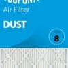 16x18x1 (Actual Size) DuPont Dust Air Filter (MERV 8)