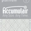19x23x1 (Actual Size) Accumulair Platinum Filter MERV 11